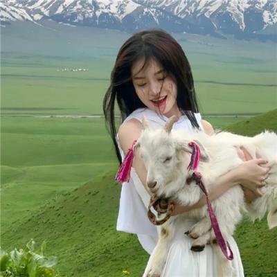 爱的追踪 在线观看